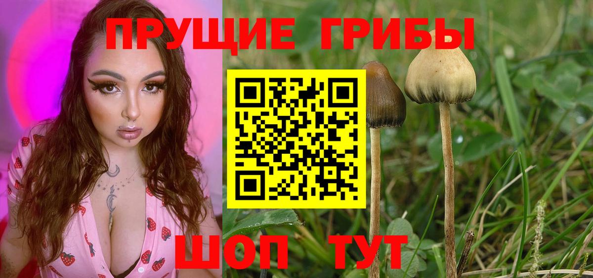 Псилоцибиновые грибы мухоморы Каменск-Уральский