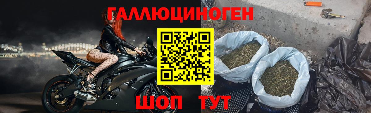 Каменск-Уральский  Псилоцибиновые грибы мицелий  даркнет сайт  Вход с VPN 